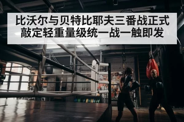 boxer training