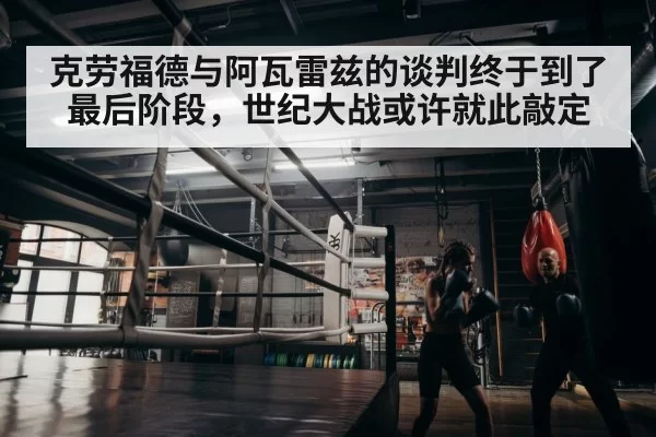 boxer training