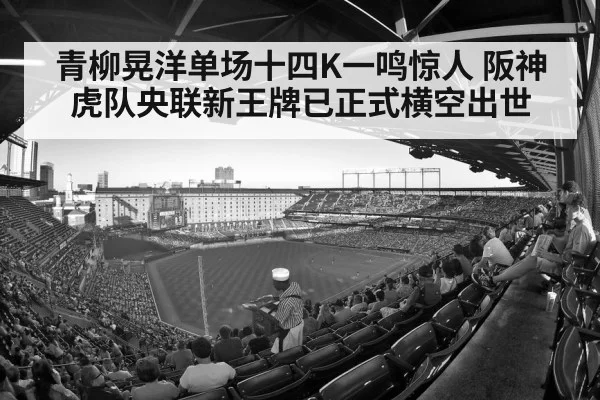 baseball stadium crowd